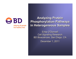 Analyzing Protein Phosphorylation Pathways in