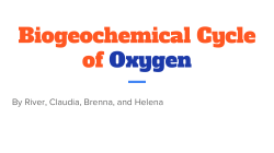 Biogeochemical Cycle of Oxygen