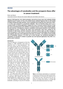 REVIEW The advantages of nanobodies and the prospects these