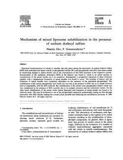 Mechanism of mixed liposome solubilization in the presence of