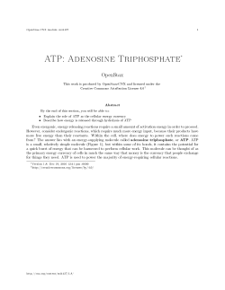 ATP: Adenosine Triphosphate