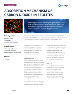 AdSORPtIOn MEChAnISM Of CARbOn dIOxIdE In ZEOlItES