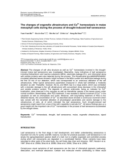 The changes of organelle ultrastructure and Ca2+