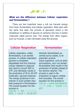 H.W -1- What are the difference between Cellular respiration and