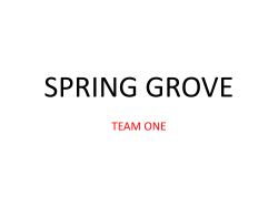 spring grove team one