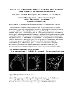 BIPLANE FPALM MICROSCOPY 3D VISUALIZATION OF