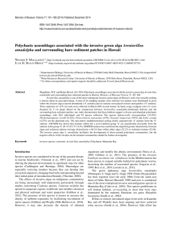 Polychaete assemblages associated with the invasive green alga