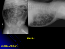 PowerPoint 프레젠테이션