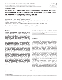 Difference in light-induced increase in ploidy level and cell size