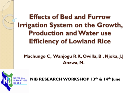 Effects of Bed and Furrow Irrigation System on the Growth