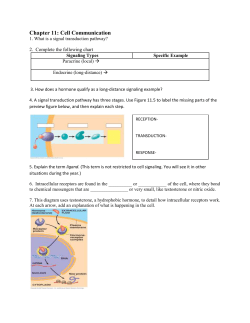 Chapter 11: Cell Communication