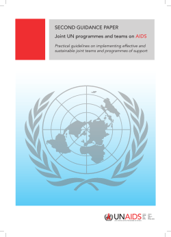 Second Guidance Paper: Joint UN programmes and teams