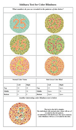 Ishihara Test for Color Blindness