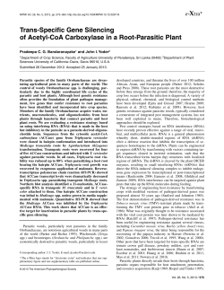 Trans-Specific Gene Silencing of Acetyl-CoA