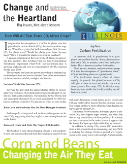 How Will All That Extra CO2 Affect Crops