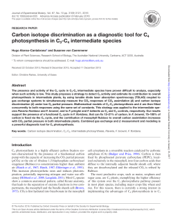 Carbon isotope discrimination as a diagnostic tool for C4