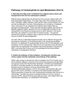 Adipose tissue triglycerides are derived form two sources: dietary