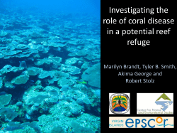 11:15 Brandt M - 12th International Coral Reef Symposium