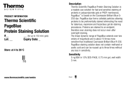 Thermo Scientific PageBlue Protein Staining Solution