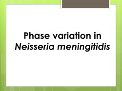 Phase variation is a key factor in bacteria`s ability to cause disease