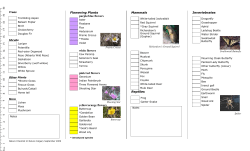 Beginner`s Nature Checklist