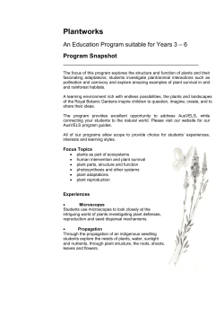 Program Snapshot (MS Word - 1.05 MB)