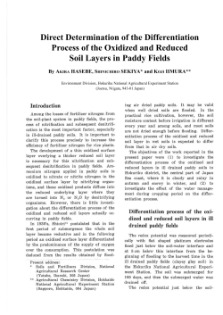 Direct Determination of the Differentiation Process of the Oxidized