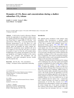 Dynamics of CO2 fluxes and concentrations during a shallow