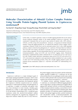Molecular Characterization of Adenylyl Cyclase Complex Proteins