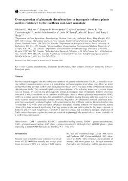Overexpression of glutamate decarboxylase in transgenic tobacco