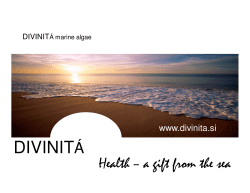 divinit&aacute; - EKO GEA