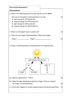 Life on Earth Homework 3 Photosynthesis