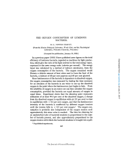 THE OXYGEN CONSUMPTION OF LUMINOUS BACTERIA. B~ E