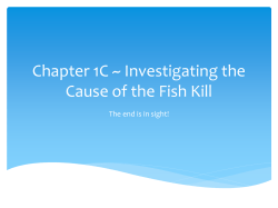 Investigating the Cause of the Fish Kill