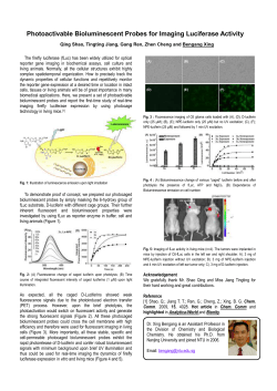 Photoactivable Bioluminescent Probes for Imaging Luciferase Activity