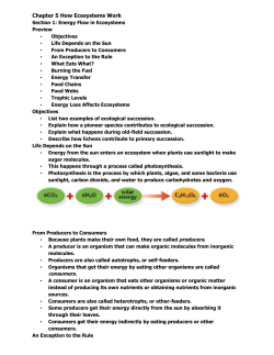 Chapter 5 How Ecosystems Work Section 1: Energy Flow in