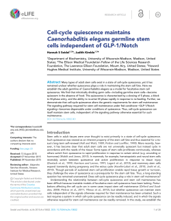 Cell-cycle quiescence maintains Caenorhabditis elegans germline