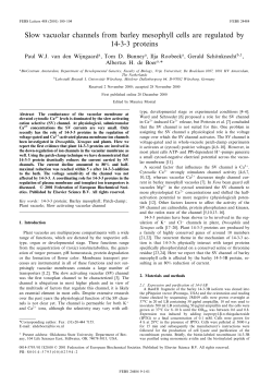 Slow vacuolar channels from barley mesophyll cells