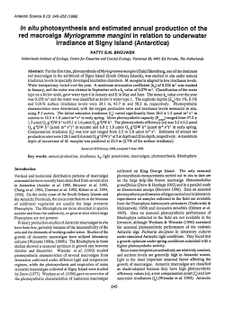 In situ photosynthesis and estimated annual production of the red