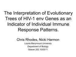 The Interpretation of Evolutionary Trees of HIV-1