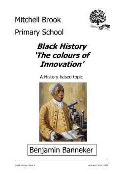 Mitchell Brook Primary School Black History `The colours of