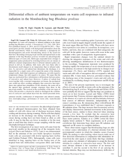 Differential effects of ambient temperature on warm cell responses to