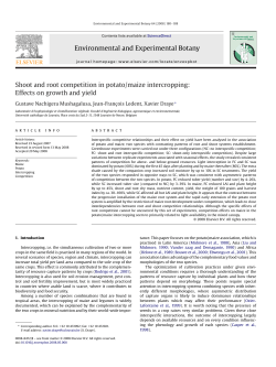 Environmental and Experimental Botany Shoot and root competition
