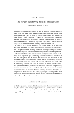 Otto Warburg - Nobel Lecture