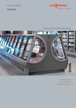 Create more frozen food sales Freezer cabinet ICONIC
