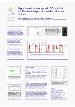 High-resolution atmospheric CO 2 data for the Eemian interglacial