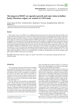 The impacts of BSMV on vegetative growth and water status in