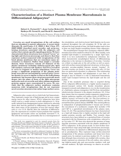 Characterization of a Distinct Plasma Membrane