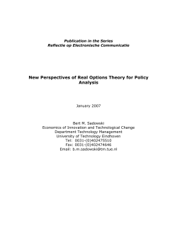 New Perspectives of Real Options Theory for Policy Analysis
