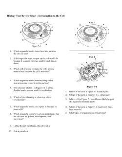 Biology Test Review Sheet - Introduction to the Cell